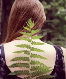 A fern leaf held in front of a woman's back reminds us that the spine is a living, fragile, element.